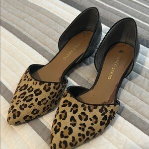 Franco Sarto Brown and Black Flats Leopard Print